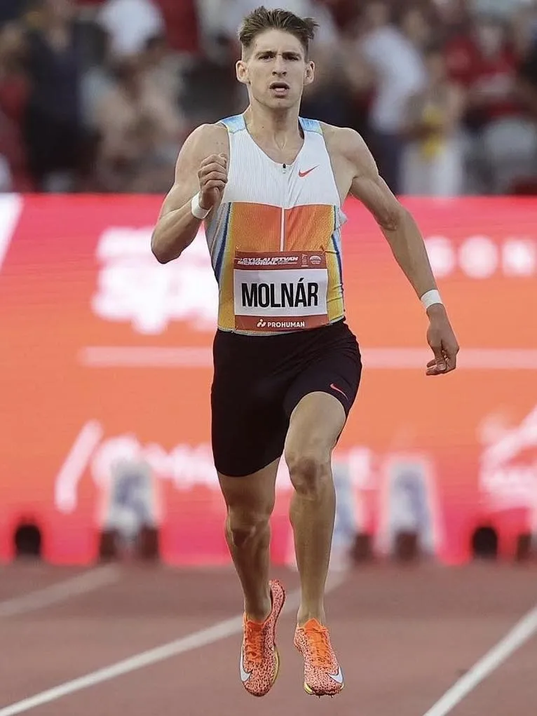 molnár attila.webp